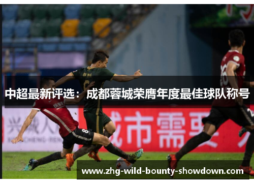 中超最新评选：成都蓉城荣膺年度最佳球队称号