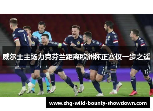 威尔士主场力克芬兰距离欧洲杯正赛仅一步之遥
