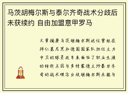 马茨胡梅尔斯与泰尔齐奇战术分歧后未获续约 自由加盟意甲罗马